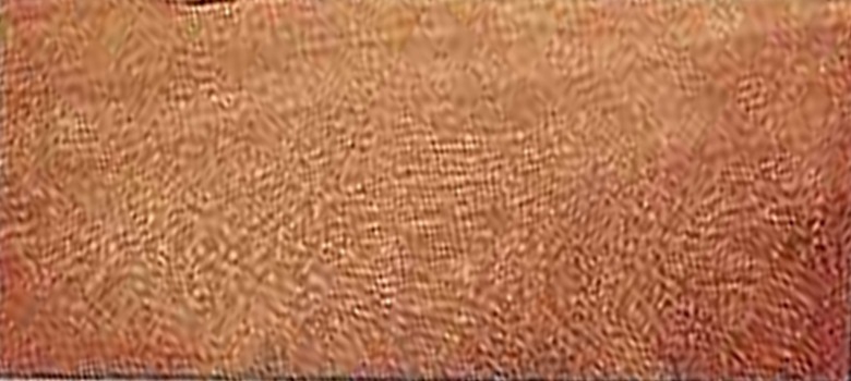 Muestra de madera identificada como Anacaspi