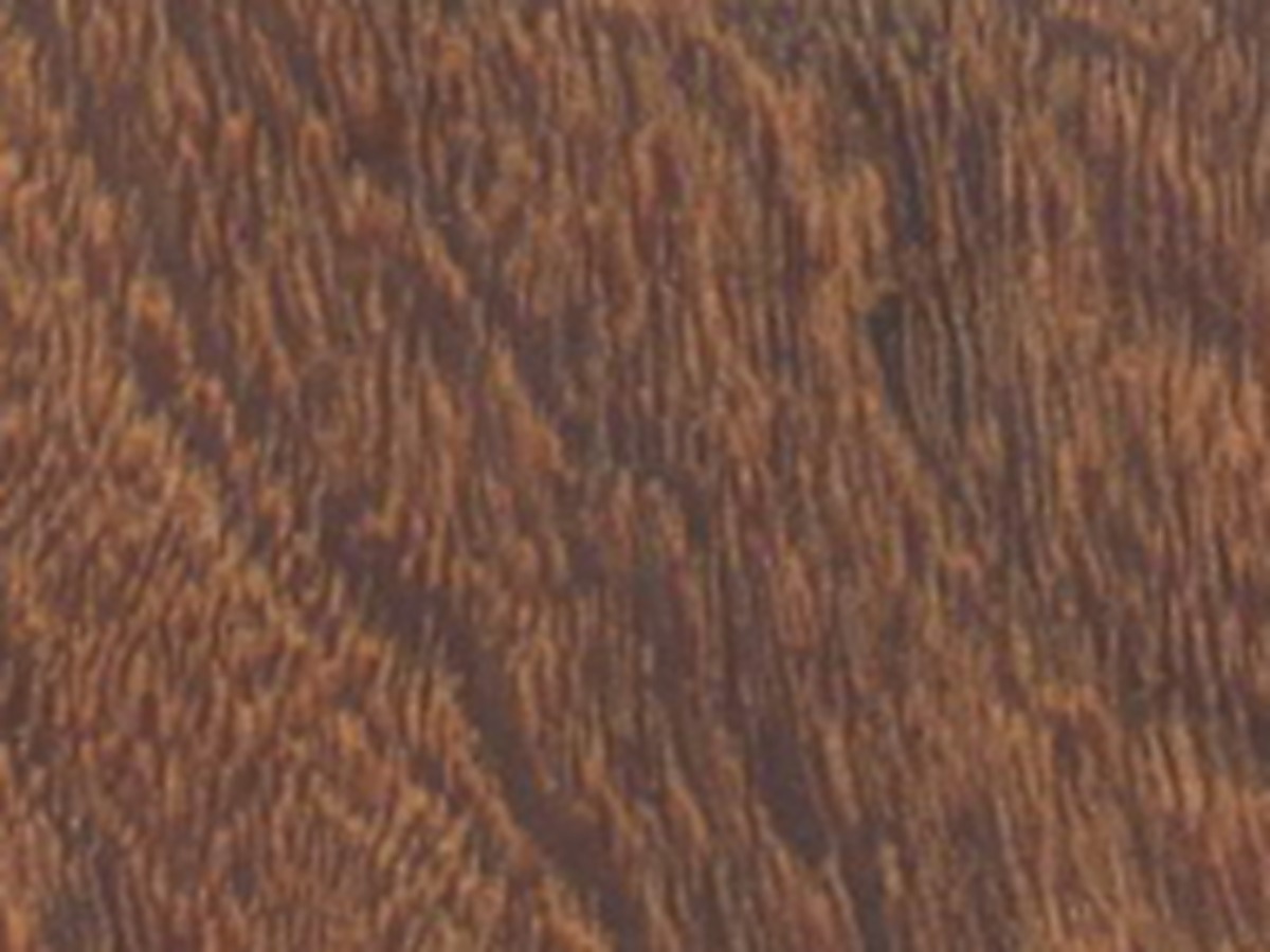 Muestra de madera identificada como Tahuarí