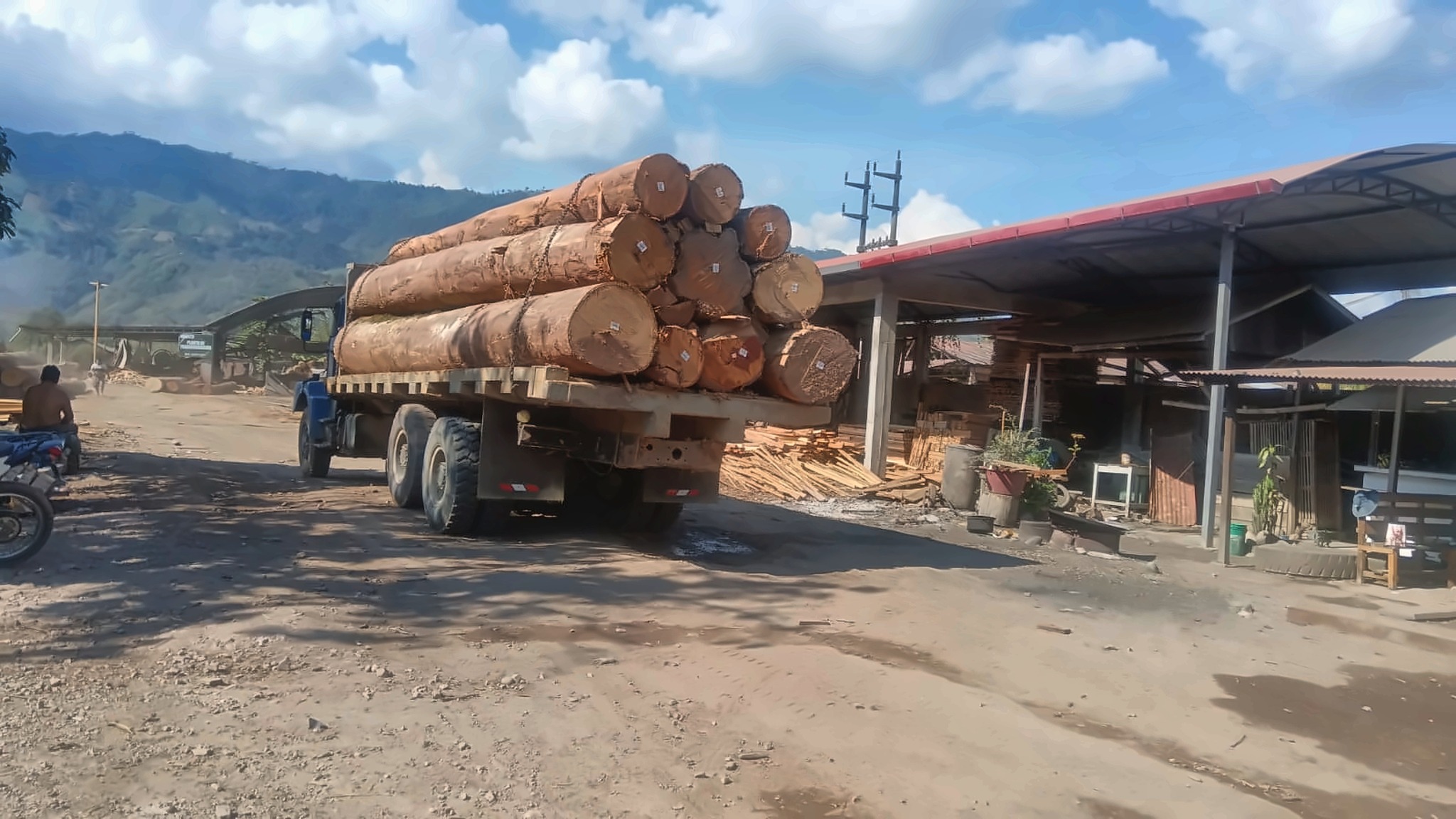 Transporte de madera rolliza en operación forestal