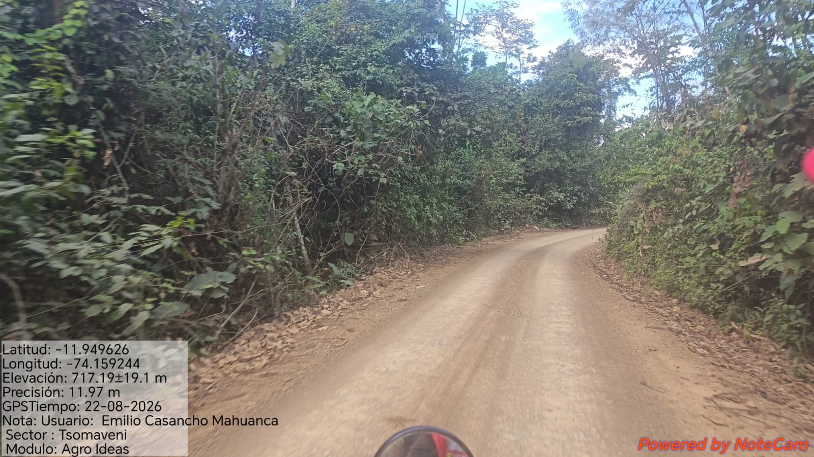 Ruta de acceso forestal