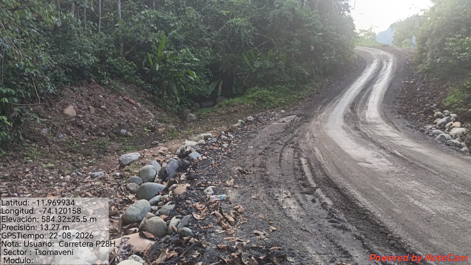 Camino de acceso en zona forestal