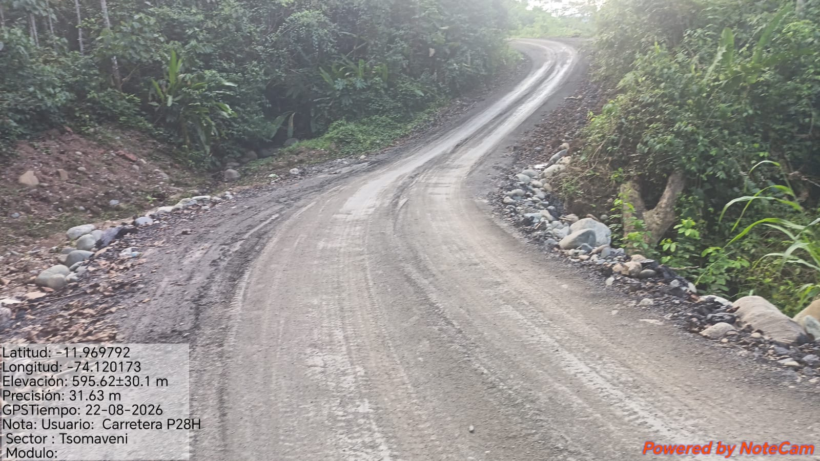 Carretera en zona forestal